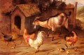 Aves, pollitos y cabras junto a una perrera, animales de granja Edgar Hunt